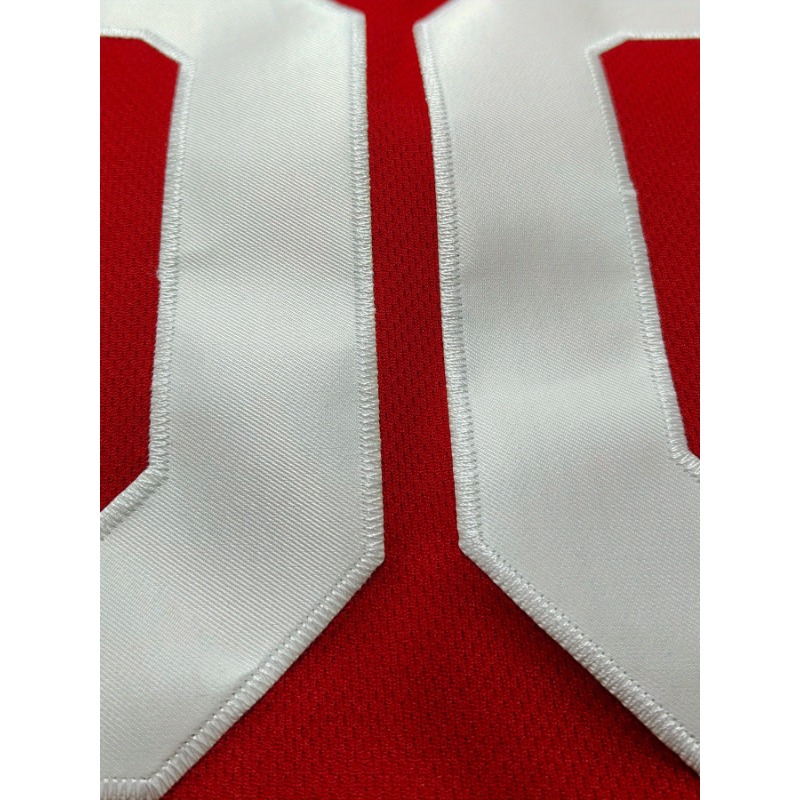 カスタマイズされた名前と番号バスケットボールジャージ、通気性 - Embroidery Names のレビューと価格